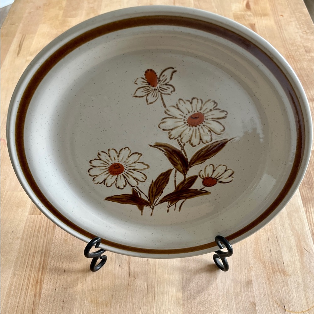 Vintage Stoneware Dinner Plates